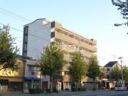 フラッティ円町北