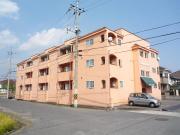 L.A.新徳田