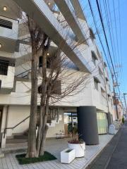 アネクスドルム