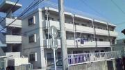 マンションリゾート柴