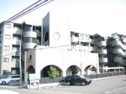フィールドサン