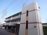 セレーノ稲野