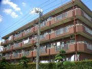 セントラルパークマンション