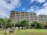 アデニウム湯河原