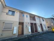 アールコート樅