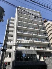 Ani-mo