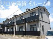 ピア門松A