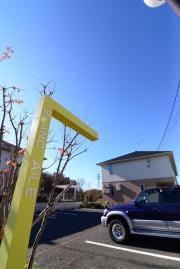 ブランエール J