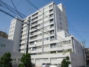 ＪＲ函館本線琴似駅まで徒歩5分