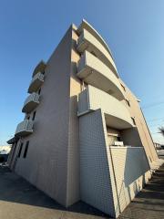 パインプロス