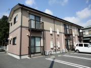 ソレイユ NoGi