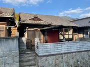 春の木洩れ日とエスプレッソ