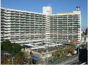 東白鬚第二マンション10号棟