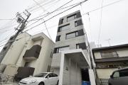 COZY菊井