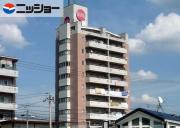 BORAX TOWER