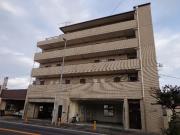 鵠沼やませ