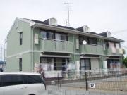 カームシバタ12