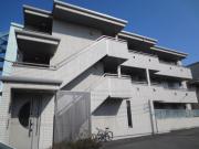 STUDIO S