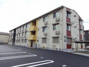 ベイテラス アイリス