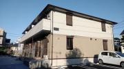 木もれ陽