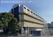 カーサー川口