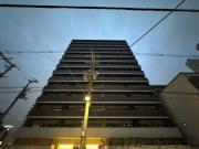 LUMINOUS桜川
