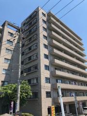 Daiwa Grace Maison 大島I