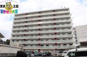 MODERN PALAZZO文教Prima
