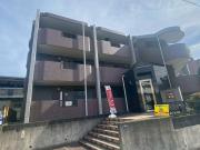 小田急小田原線東海大学前駅まで徒歩13分