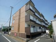 スカイキングIII