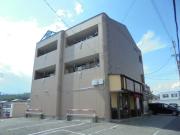 Season Court