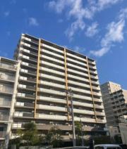 アデニウム新小岩
