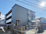 D Paina Takakura