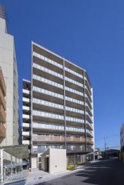 SOPHIA HILLS