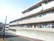 プラム・ブラッサム池の端 壱番館
