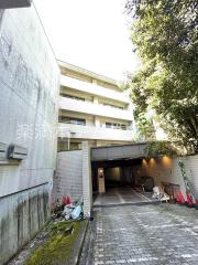 リアライズ衣笠