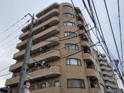 NIKOハイム新小岩第6