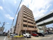アゲート 白壁