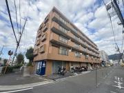 シロハイヌ吉田