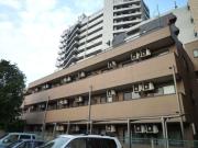 JC SOUTH SHIKI 2932