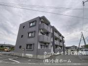 SUNCITY虎