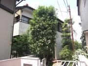 柴崎貸家