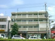 ライフかも