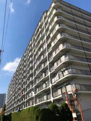 木場ハイツ