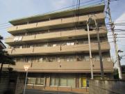サンプエンテ