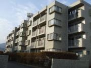 静岡県静岡市葵区辰起町
