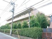 カーサ501