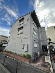 高見パピルス