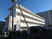 クラルテディヴァイン
