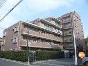 ヒルズ市川妙典 